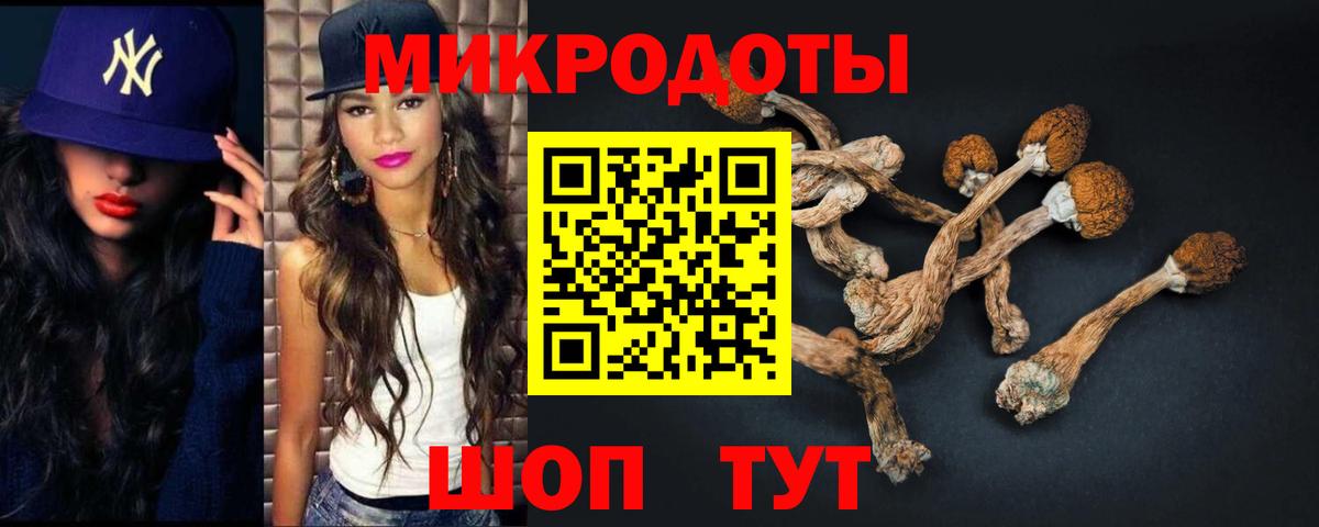 Астрахань  как найти закладки  Галлюциногенные грибы мухоморы  Вход с VPN  Галлюциногенные грибы Magic Shrooms 